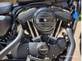 HARLEY-DAVIDSON SPORTSTER 1200 CUSTOM 2021/12 - 11