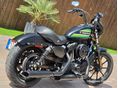 HARLEY-DAVIDSON SPORTSTER 1200 CUSTOM 2021/12 - 13
