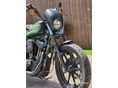 HARLEY-DAVIDSON SPORTSTER 1200 CUSTOM 2021/12 - 14