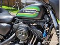 HARLEY-DAVIDSON SPORTSTER 1200 CUSTOM 2021/12 - 16