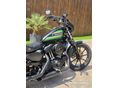 HARLEY-DAVIDSON SPORTSTER 1200 CUSTOM 2021/12 - 18