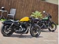 HARLEY-DAVIDSON SPORTSTER 2021/12 - 5