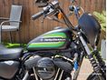 HARLEY-DAVIDSON SPORTSTER 2021/12 - 10
