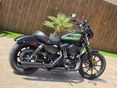 HARLEY-DAVIDSON SPORTSTER 2021/12 - 13