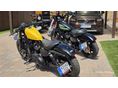 HARLEY-DAVIDSON SPORTSTER 2021/12 - 17