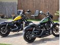 HARLEY-DAVIDSON SPORTSTER 2021/12 - 20