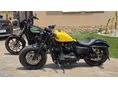 HARLEY-DAVIDSON SPORTSTER 2021/12 - 21