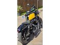 HARLEY-DAVIDSON SPORTSTER 2021/12 - 22