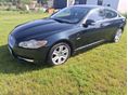 JAGUAR XF 2.7 D Luxury (Automata)