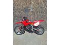 MALAGUTI GRIZZLY RXC 12 2009/5 - 2