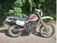 HONDA XL 600 R 