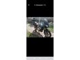 HONDA CBF 1000 2006/4 - 2