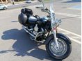 YAMAHA XVS 1100 A DRAG STAR 2004/9 - 2