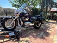 SUZUKI VL 800 (INTRUDER) 2006/3 - 9