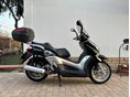 YAMAHA X-CITY 250 2007/6 - 5