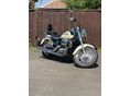 HONDA VT 750 1998 - 5
