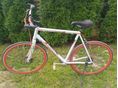 BICYCLE Gepida Bannon 810