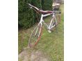 BICYCLE 2016 - 2