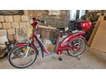ELECTRIC BICYCLE EB010B