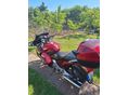 HONDA ST 1300 PAN EUROPEAN 2009/7 - 8