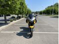 YAMAHA TDM 900 2002/3 - 4