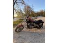 HONDA VT 600 C SHADOW 1996/4 - 2