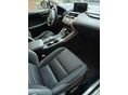 LEXUS NX 2021/6 - 10