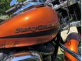 HARLEY-DAVIDSON SOFTAIL 2019/4 - 2