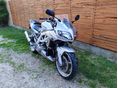 SUZUKI SV 1000 S 