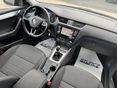 SKODA OCTAVIA 2017/3 - 7