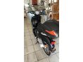 BENELLI PEPE 2005 - 3
