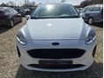 FORD FIESTA 2019/11 - 3