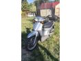 HONDA SH 50 