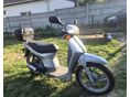 HONDA SH 50 2000 - 3