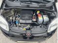 FIAT PANDA 2013/5 - 6