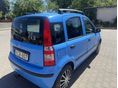 FIAT PANDA 2005 - 5