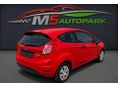 FORD FIESTA 2013/5 - 4