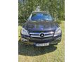 MERCEDES-BENZ GL 420 2007/4 - 10