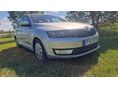 SKODA RAPID 2016/6 - 2