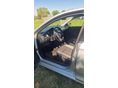 SKODA RAPID 2016/6 - 11
