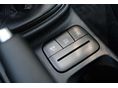 FORD FIESTA 2021/5 - 27