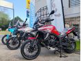 MORBIDELLI T1002VX 2026 - 1