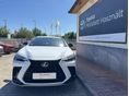 LEXUS NX 2023/1 - 6
