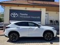 LEXUS NX 2023/1 - 2