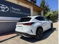 LEXUS NX 2023/1 - 3