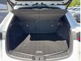LEXUS NX 2023/1 - 12
