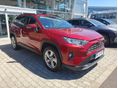 TOYOTA RAV 4 2019/5 - 2