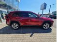 TOYOTA RAV 4 2019/5 - 3
