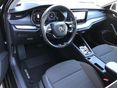 SKODA OCTAVIA 2021/6 - 6