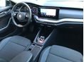 SKODA OCTAVIA 2021/6 - 8